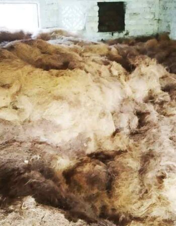 गौरी कमल काथा उद्योग गडब